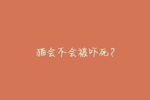 猫会不会被吓死?-动物百科