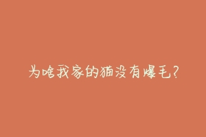 为啥我家的猫没有爆毛?-动物百科