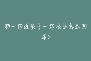 猫一边踩垫子一边咬是怎么回事?-动物百科