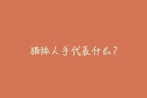猫舔人手代表什么?-动物百科