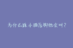 为什么踩小猫后脚他会叫?-动物百科