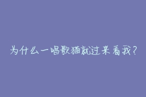 为什么一唱歌猫就过来看我?-动物百科