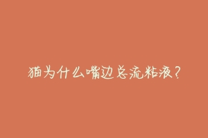 猫为什么嘴边总流粘液?-动物百科
