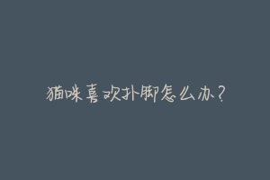 猫咪喜欢扑脚怎么办?-动物百科