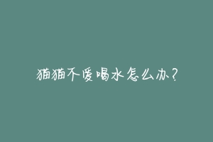 猫猫不爱喝水怎么办?-动物百科