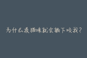 为什么摸猫咪就会躺下咬我?-动物百科