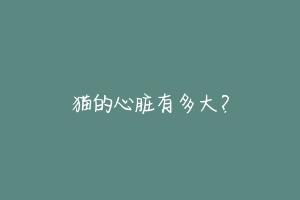 猫的心脏有多大?-动物百科