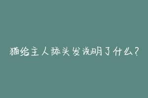 猫给主人舔头发说明了什么?-动物百科