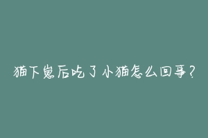 猫下崽后吃了小猫怎么回事?-动物百科