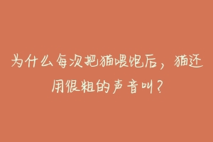 为什么每次把猫喂饱后,猫还用很粗的声音叫?-动物百科