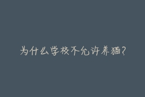为什么学校不允许养猫?-动物百科