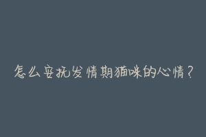 怎么安抚发情期猫咪的心情?-动物百科