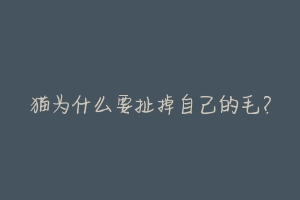 猫为什么要扯掉自己的毛？-动物百科