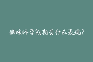 猫咪怀孕初期有什么表现?-动物百科
