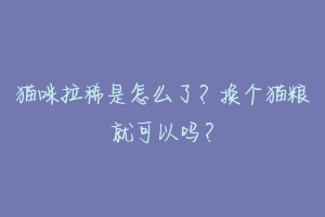 猫咪拉稀是怎么了?换个猫粮就可以吗?-动物百科