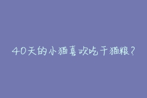 40天的小猫喜欢吃干猫粮?-动物百科