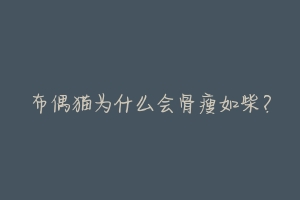 布偶猫为什么会骨瘦如柴?-动物百科