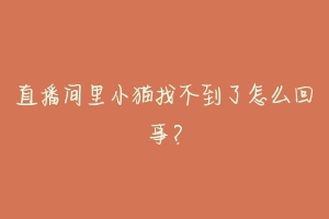 直播间里小猫找不到了怎么回事?-动物百科