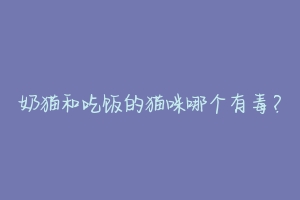 奶猫和吃饭的猫咪哪个有毒?-动物百科