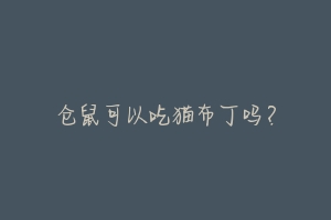 仓鼠可以吃猫布丁吗?-动物百科