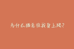 为什么猫总往我身上爬?-动物百科