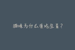 猫咪为什么爱吃生菜?-动物百科