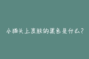 小猫头上皮肤的黑色是什么?-动物百科
