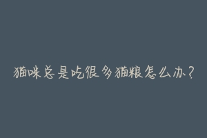 猫咪总是吃很多猫粮怎么办?-动物百科