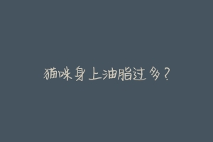 猫咪身上油脂过多?-动物百科