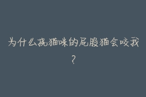 为什么挠猫咪的屁股猫会咬我?-动物百科