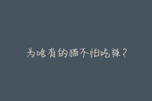 为啥有的猫不怕吃辣?-动物百科