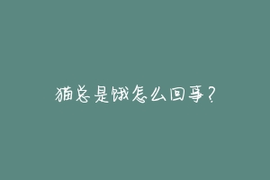 猫总是饿怎么回事?-动物百科