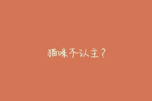 猫咪不认主?-动物百科