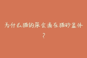 为什么猫的尿会滴在猫砂盆外?-动物百科
