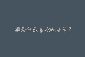 猫为什么喜欢吃小米？-动物百科