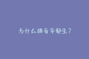 为什么猫每年都生？-动物百科