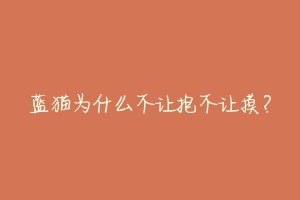 蓝猫为什么不让抱不让摸?-动物百科