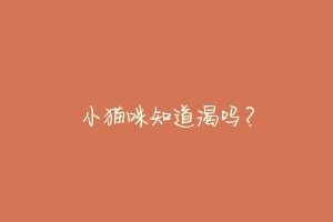 小猫咪知道渴吗?-动物百科