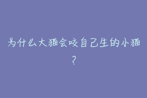 为什么大猫会咬自己生的小猫?-动物百科