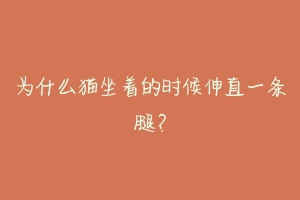 为什么猫坐着的时候伸直一条腿?-动物百科