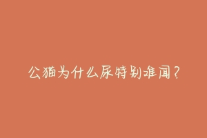 公猫为什么尿特别难闻?-动物百科
