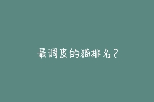 最调皮的猫排名?-动物百科