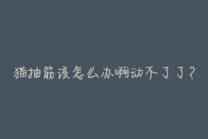 猫抽筋该怎么办啊动不了了？-动物百科