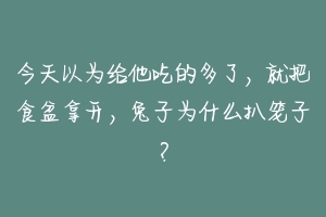 今天以为给他吃的多了，就把食盆拿开，兔子为什么扒笼子？-动物百科