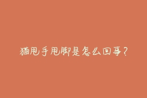 猫甩手甩脚是怎么回事？-动物百科