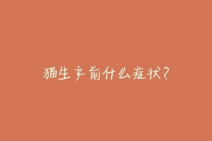 猫生产前什么症状?-动物百科