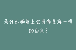 为什么猫身上会有像芝麻一样的白点?-动物百科