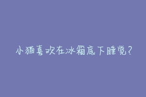 小猫喜欢在冰箱底下睡觉?-动物百科