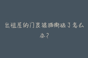出租屋的门皮被猫撕破了怎么办?-动物百科