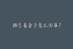 猫弓着身子怎么回事?-动物百科